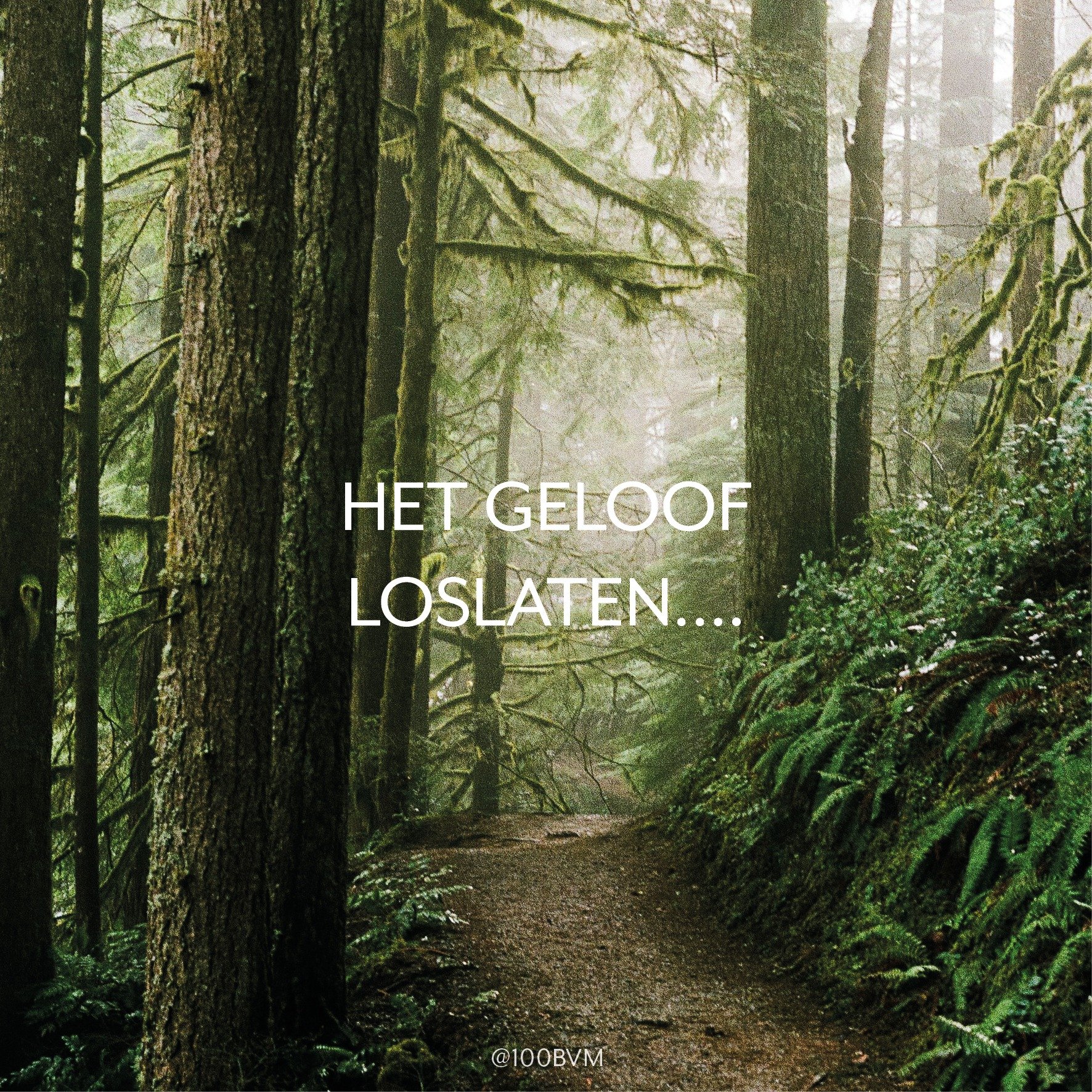 Je kent ze wel... jongvolwassenen die het geloof loslaten. Dit loslaten gaat heel ongemerkt in de eerste instantie. Tot je er ineens achter komt dat ze verder zijn in het ongelovig worden, dan je in de eerste instantie gedacht had. In ons nieuwe boek