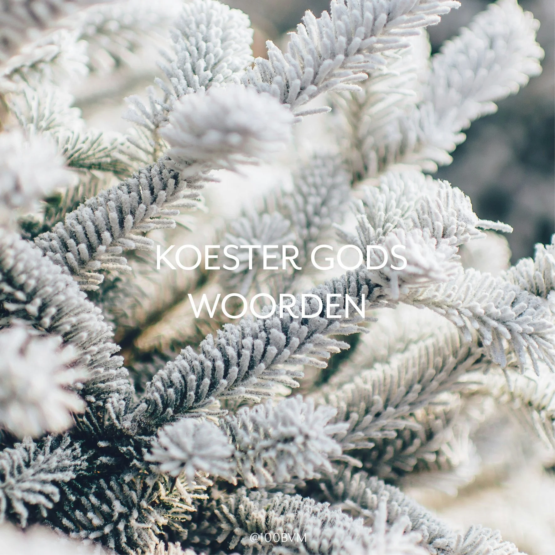 Gods Woord is als een hamer,
die sterke rotsen splijt.
Een licht op al mijn wegen,
een gids die mij geleidt.
Het toont ons als een spiegel
onszelf, zoals wij zijn,
Het is het Boek der boeken, 
voor ieder, groot en klein.
(Bron onbekend)