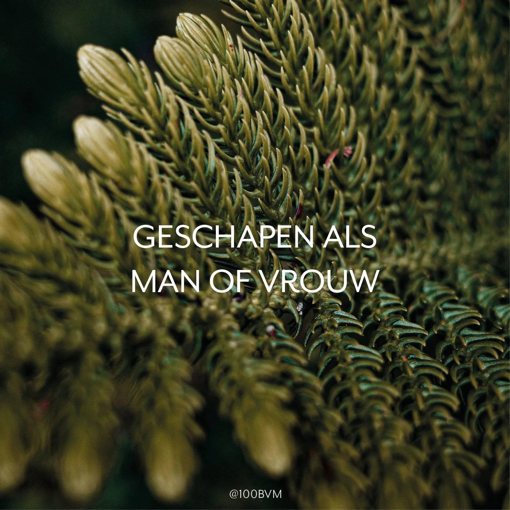 God schiep ons mannelijk of vrouwelijk. In de moederschoot werd je gevormd als man of als vrouw. Vanaf het begin maken je chromosomen duidelijk tot welk geslacht je behoort. Dit is een vaststaand gegeven. Laten we onze kinderen een gezond lichaamsbee