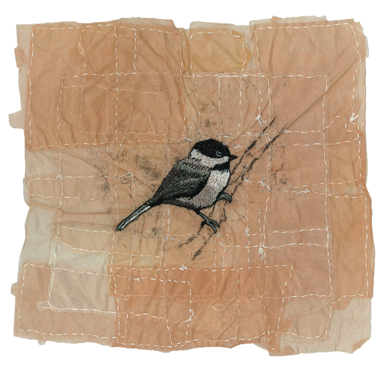 Chickadee_1600_c.png