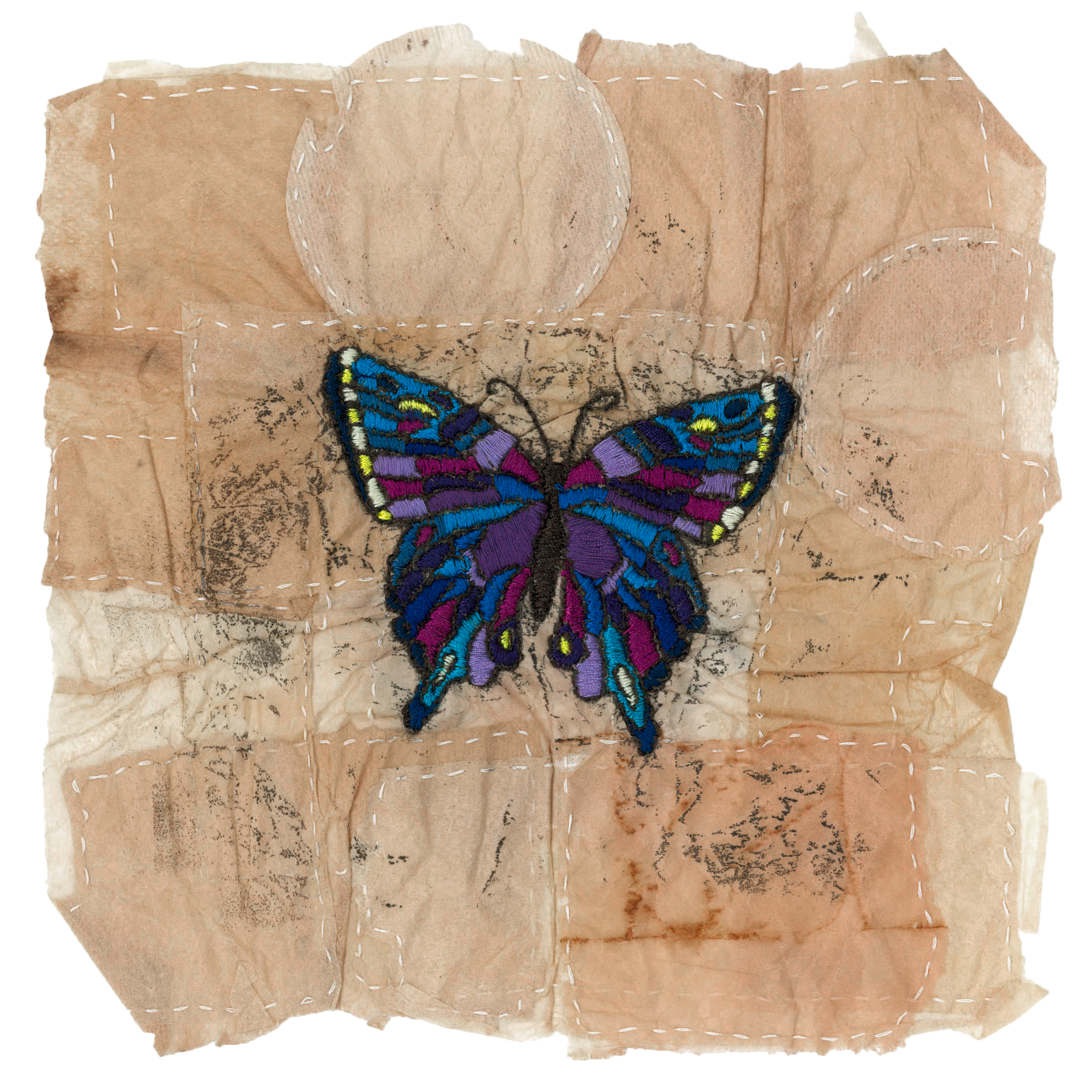 ButteflyAS_905_2x.png