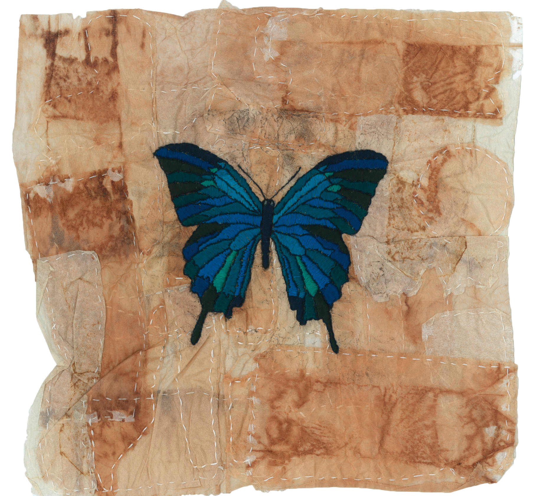 blue_butterfly_WEB_905_2x.png