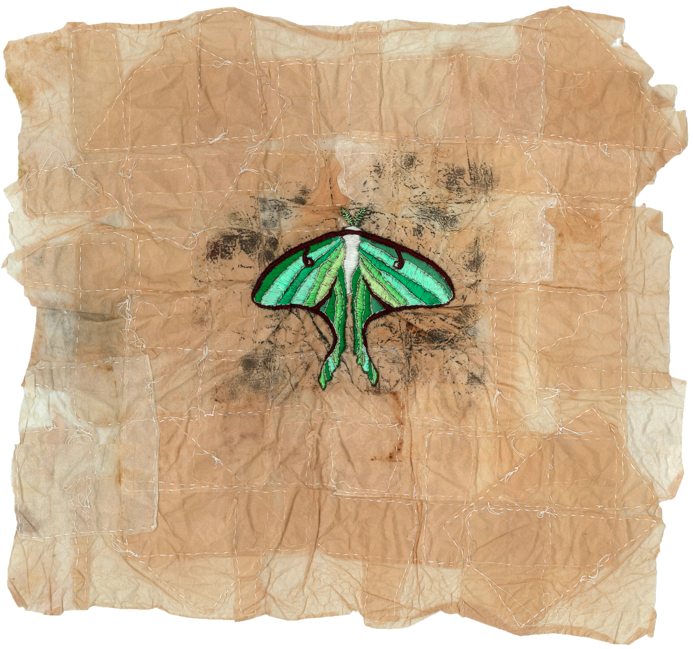 LunarMoth_png.png