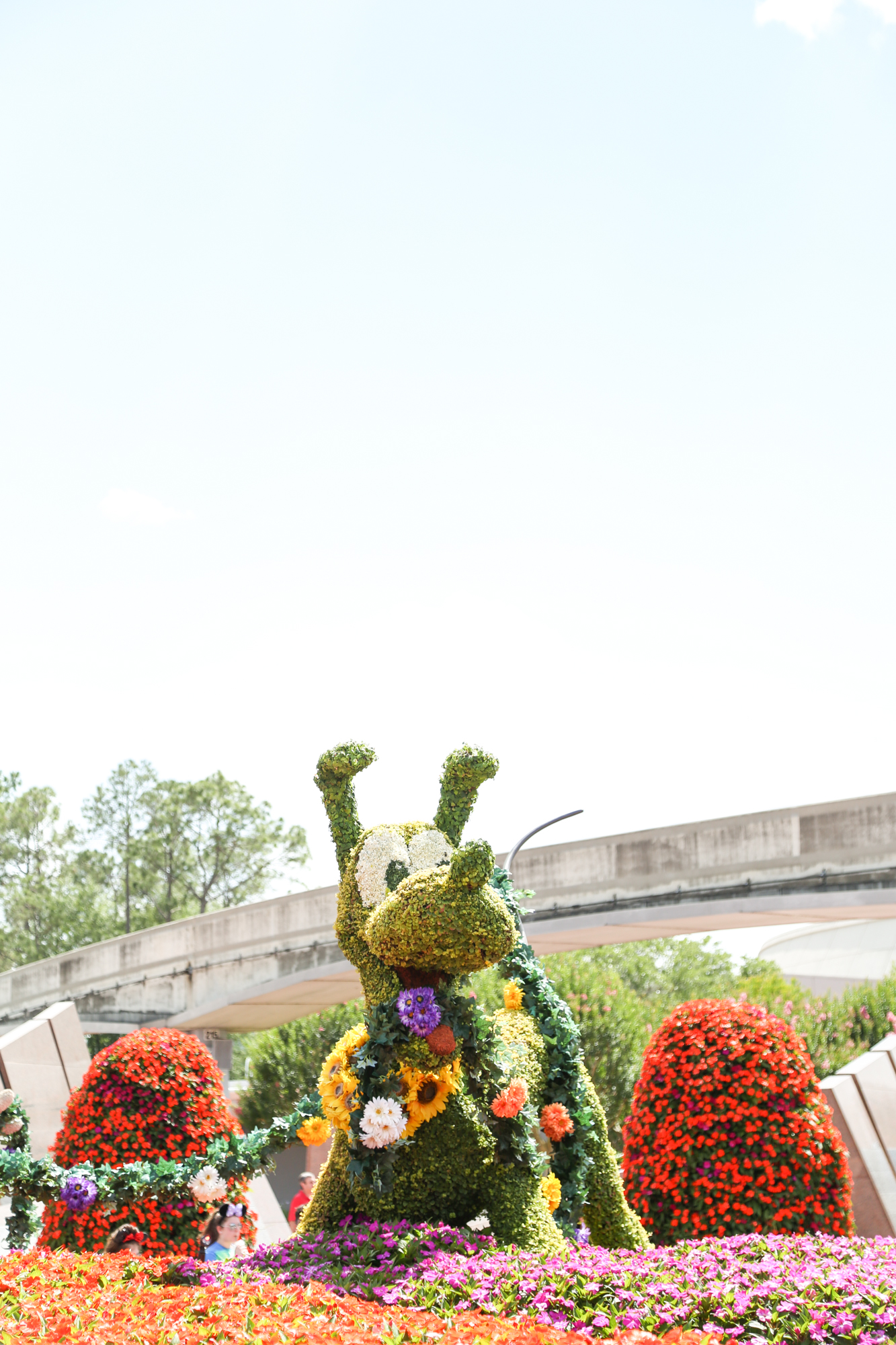 Weekend Recap Disney S Flower Garden Festival Jess Anne Photography