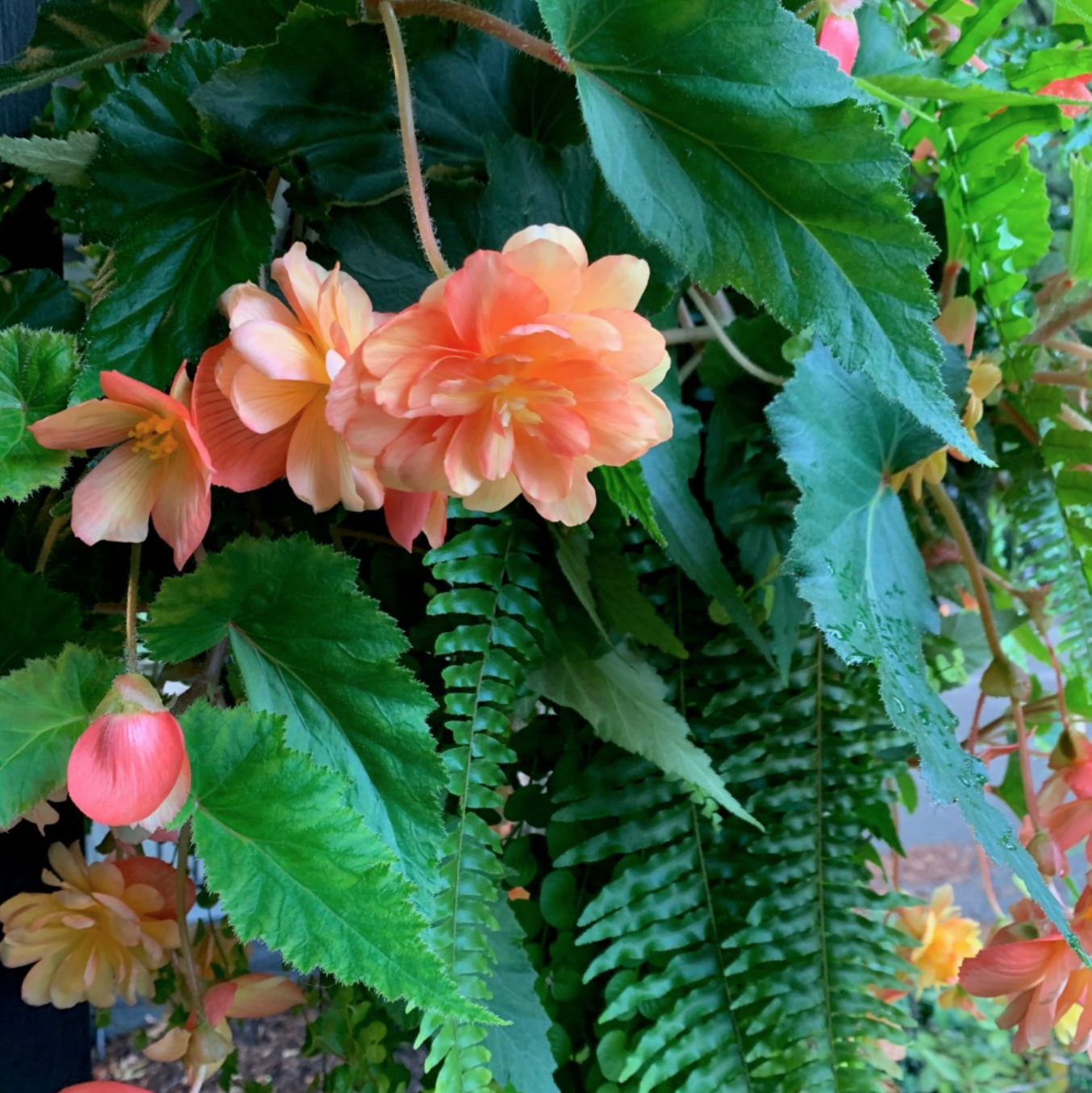 You Can't Ever Go Home Again