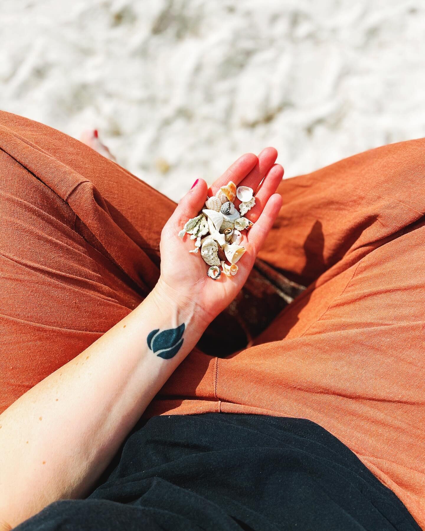 I returned from the beach with a pocket full of once-buried treasure. I did not have to work to find it, but instead gathered it as it washed up around my feet. ⁣
⁣
How many other beautiful things are we busy digging for, when if we simply stood stil