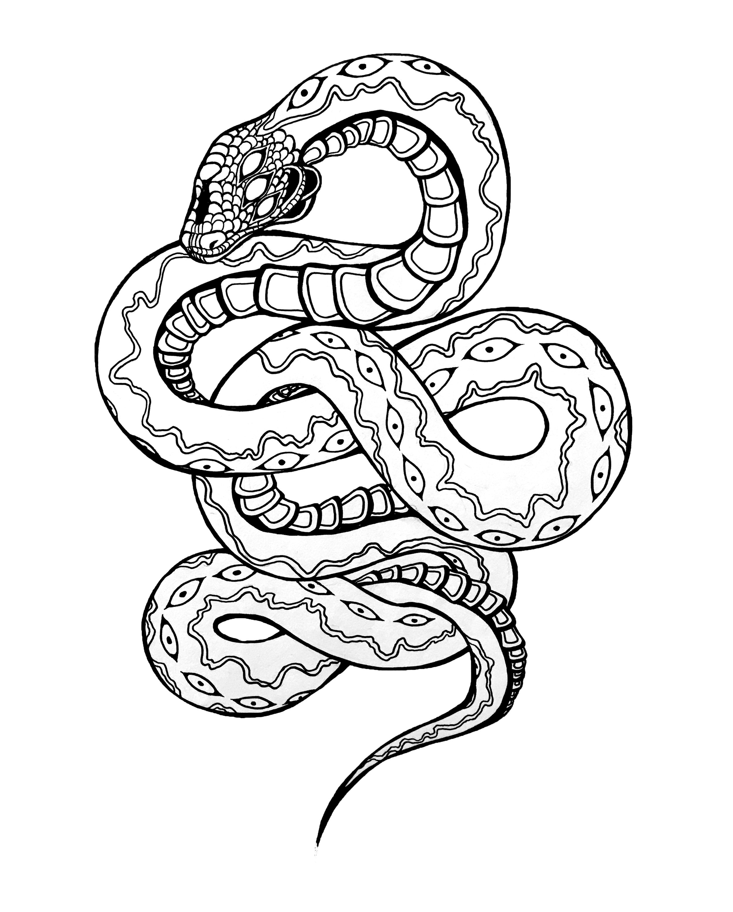 Snake 2.jpg