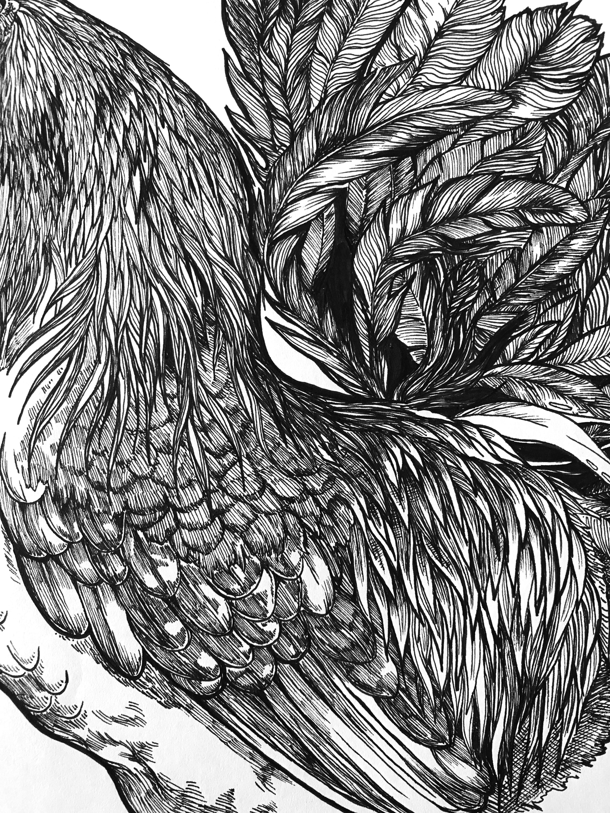 Rooster detail.jpg