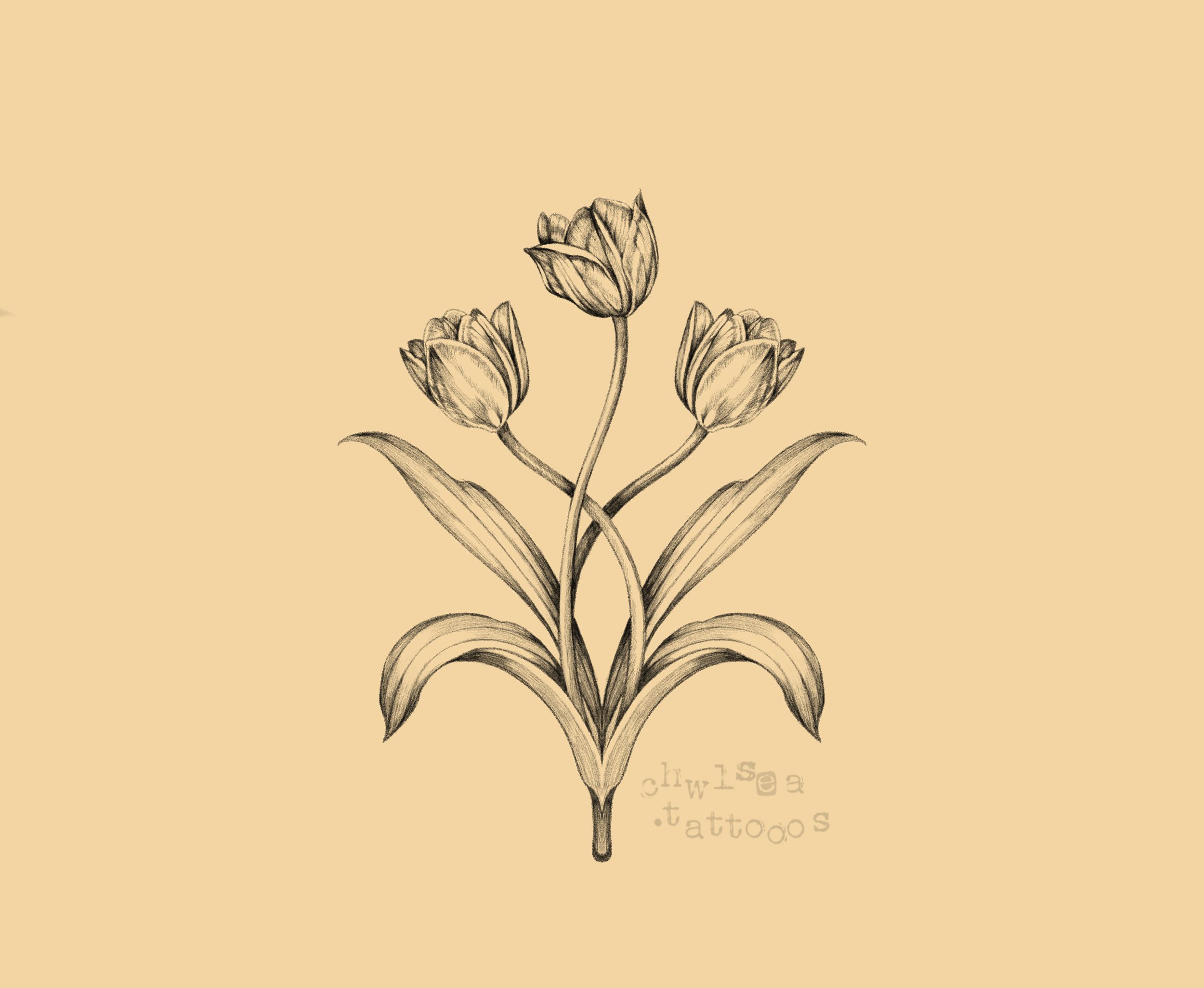 IMG_0774.png