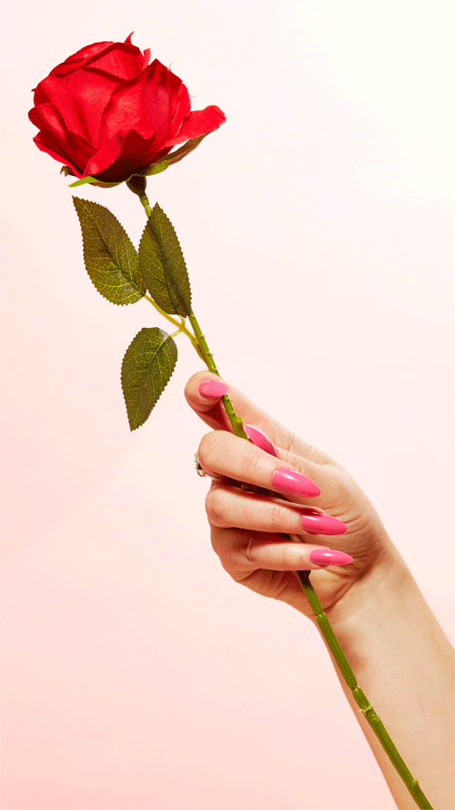 CLAIRE---SWEET-CAN-ROSES-MAKE-YOU-FEEL-PRETTY_rev.gif