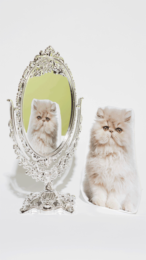 CLAIRE---SWEET-FINDING-YOUR-CHIrev.gif