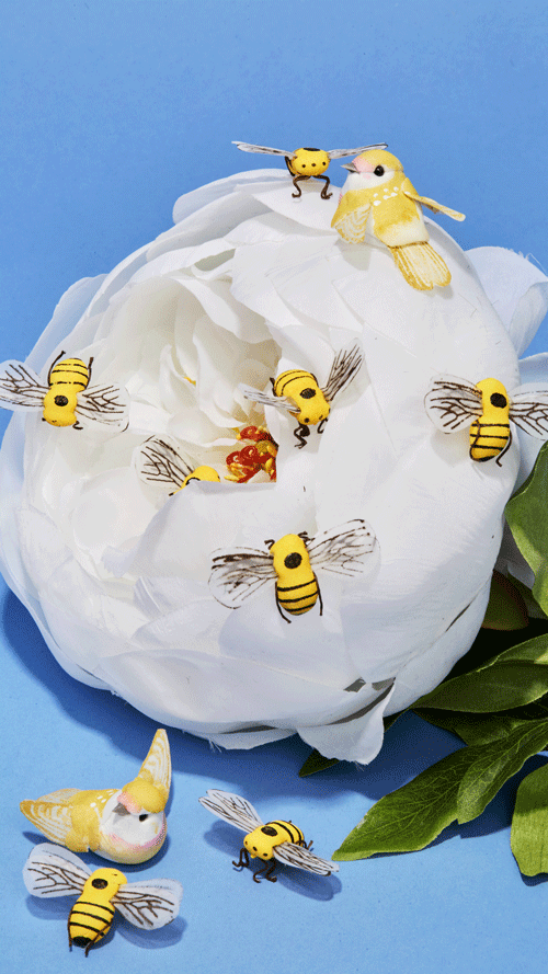 CLAIRE---SWEET-BIRDS-AND-THE-BEES.gif