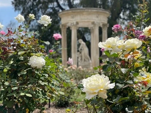 Garden Enchantment