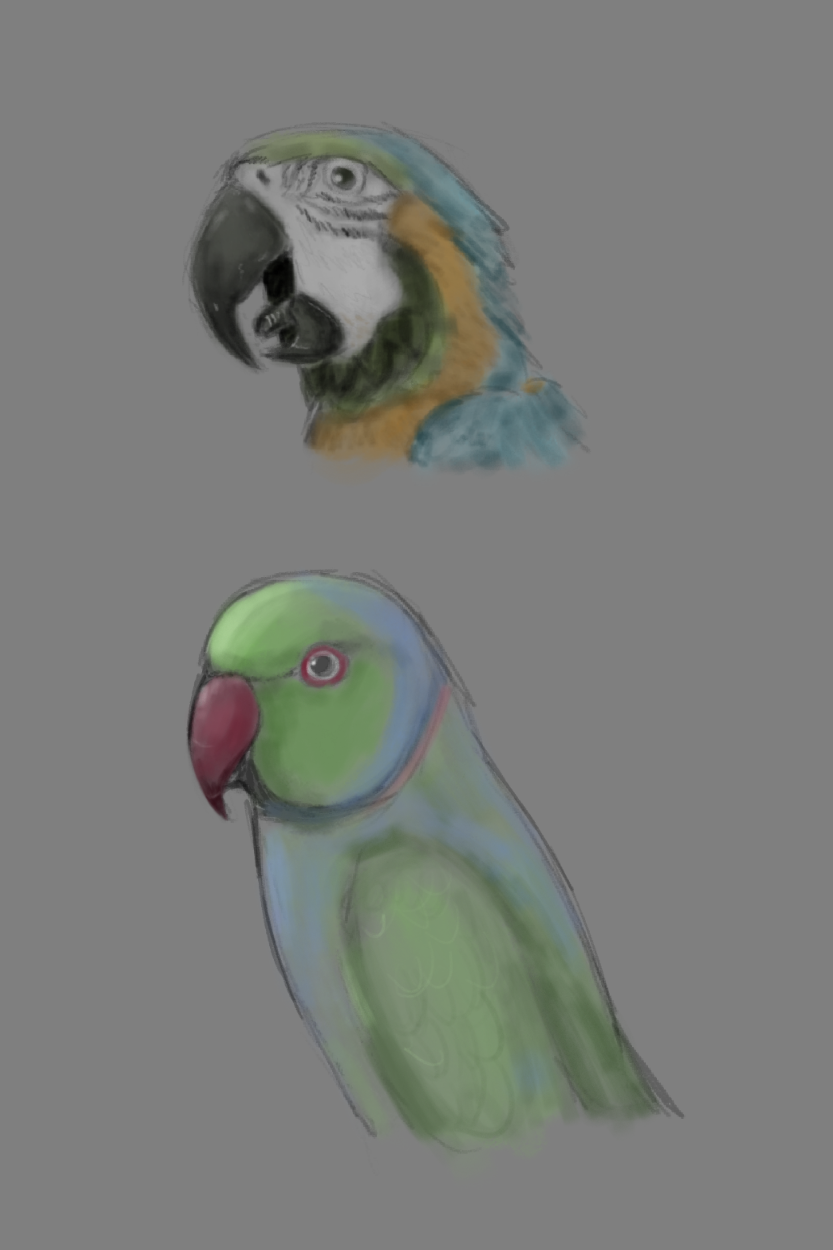 IMG_0212.PNG