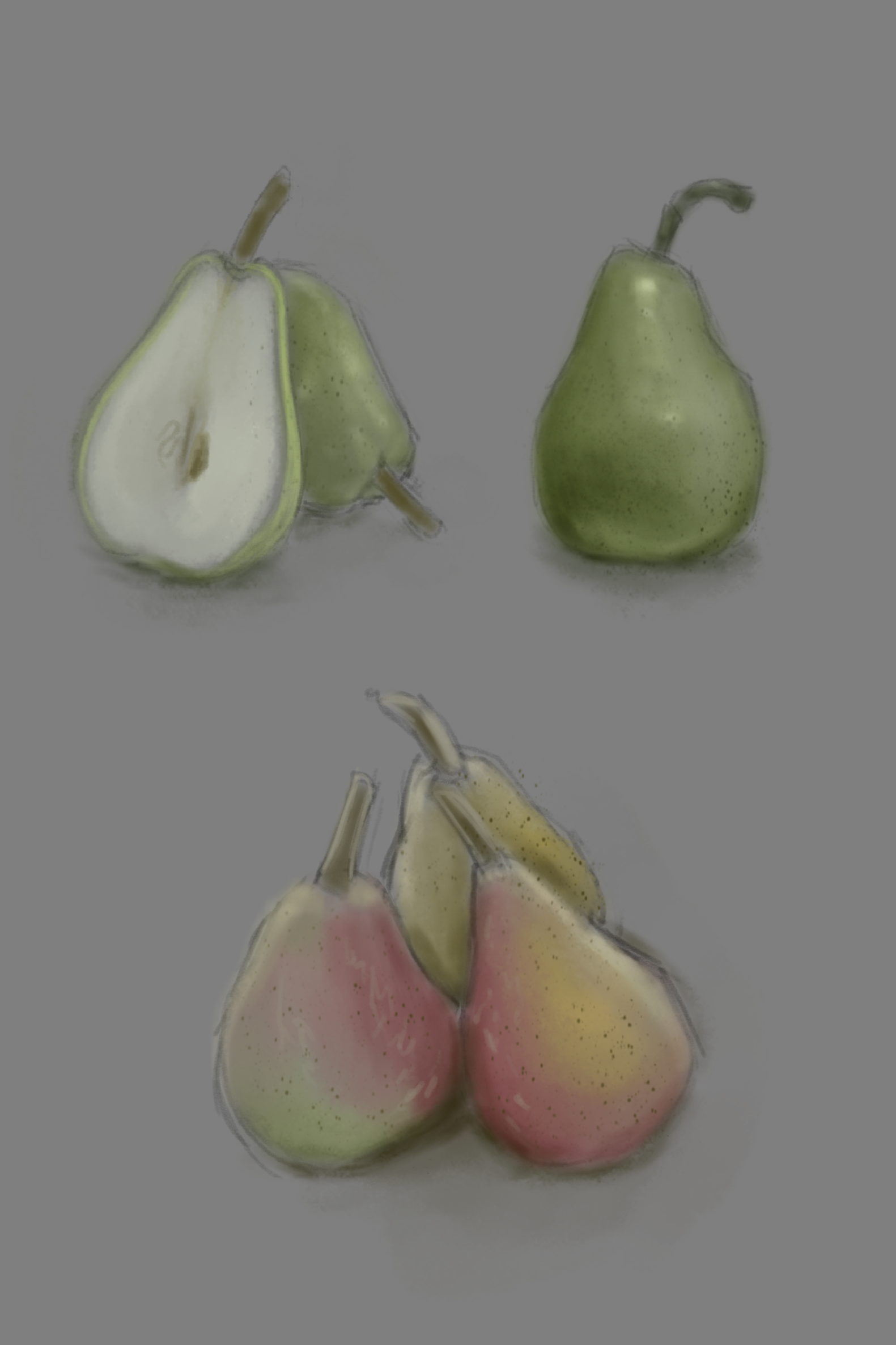 IMG_0205.PNG
