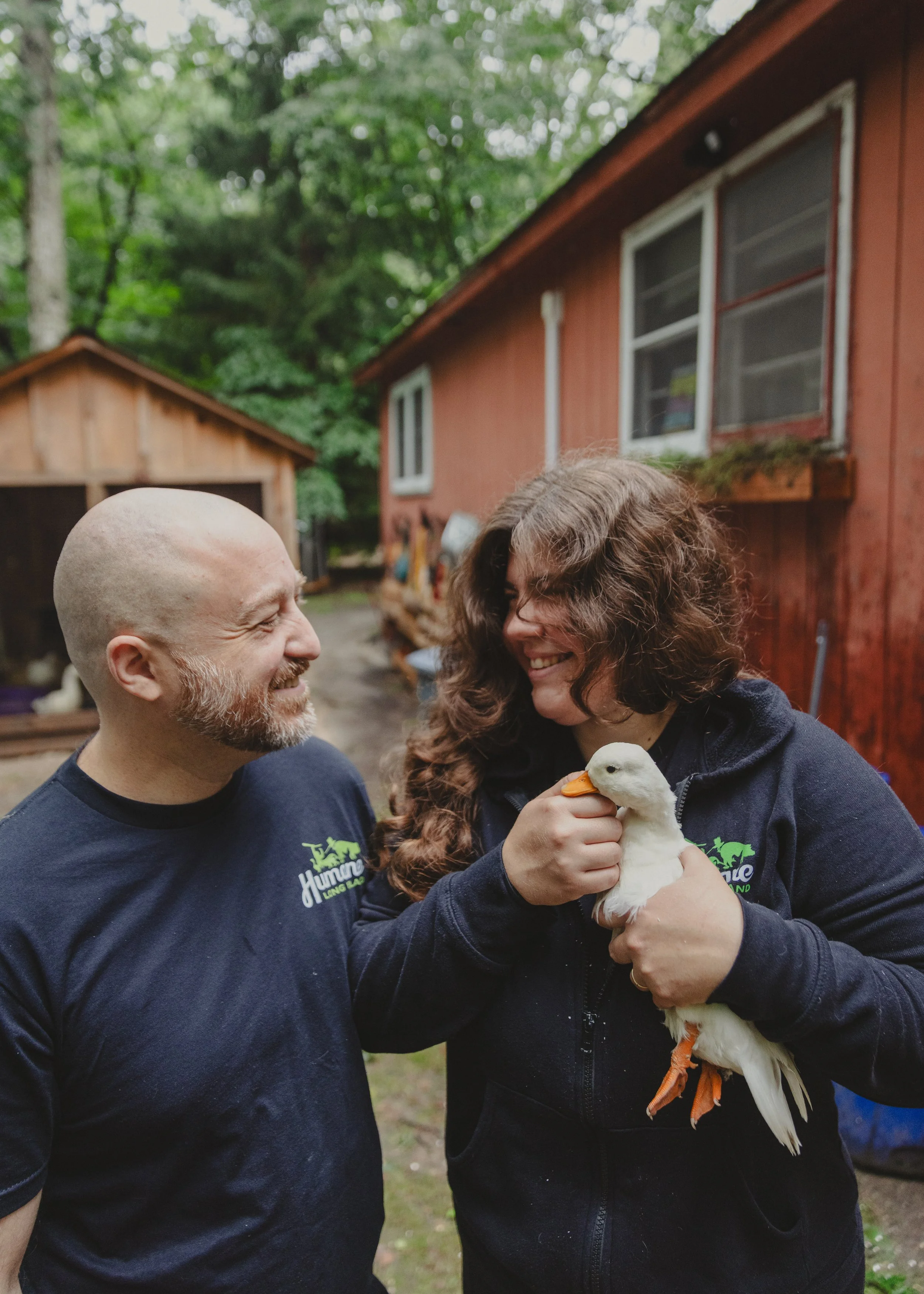 260706 - turkey rescue in long island - 36.jpg