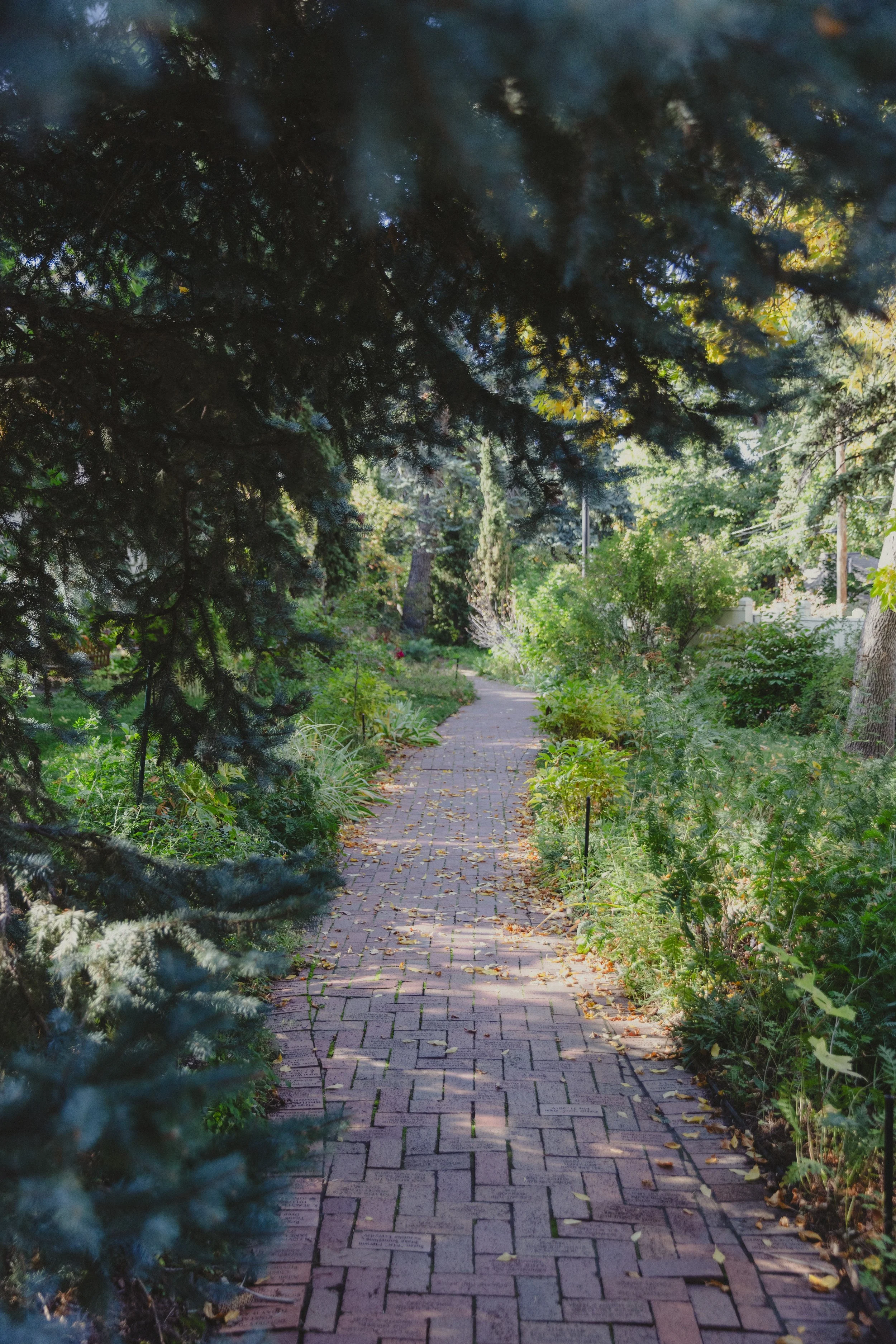 241020 - chautauqua fall tour - 30.jpg