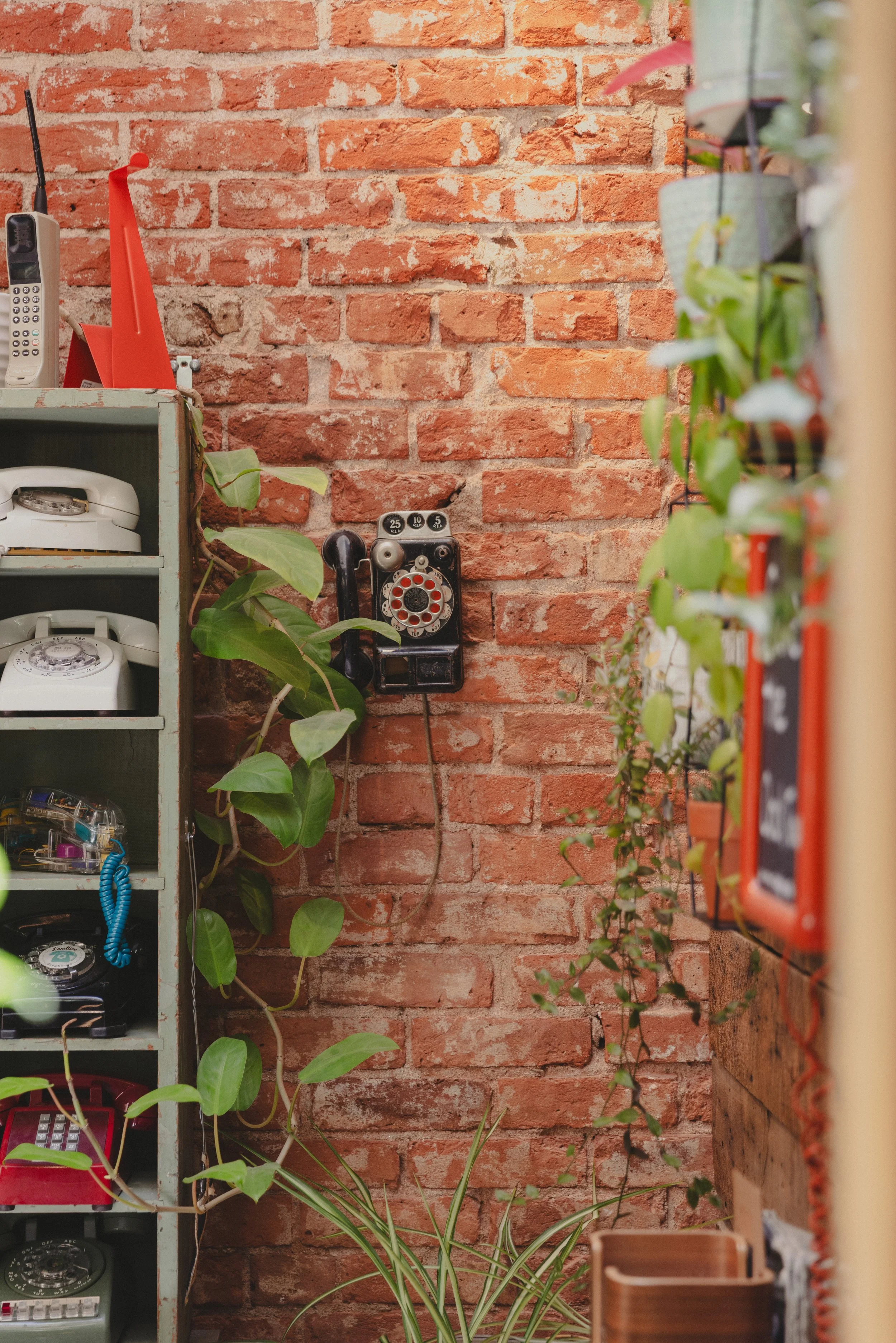 240618 - visit longmont : big heart film - 24.jpg