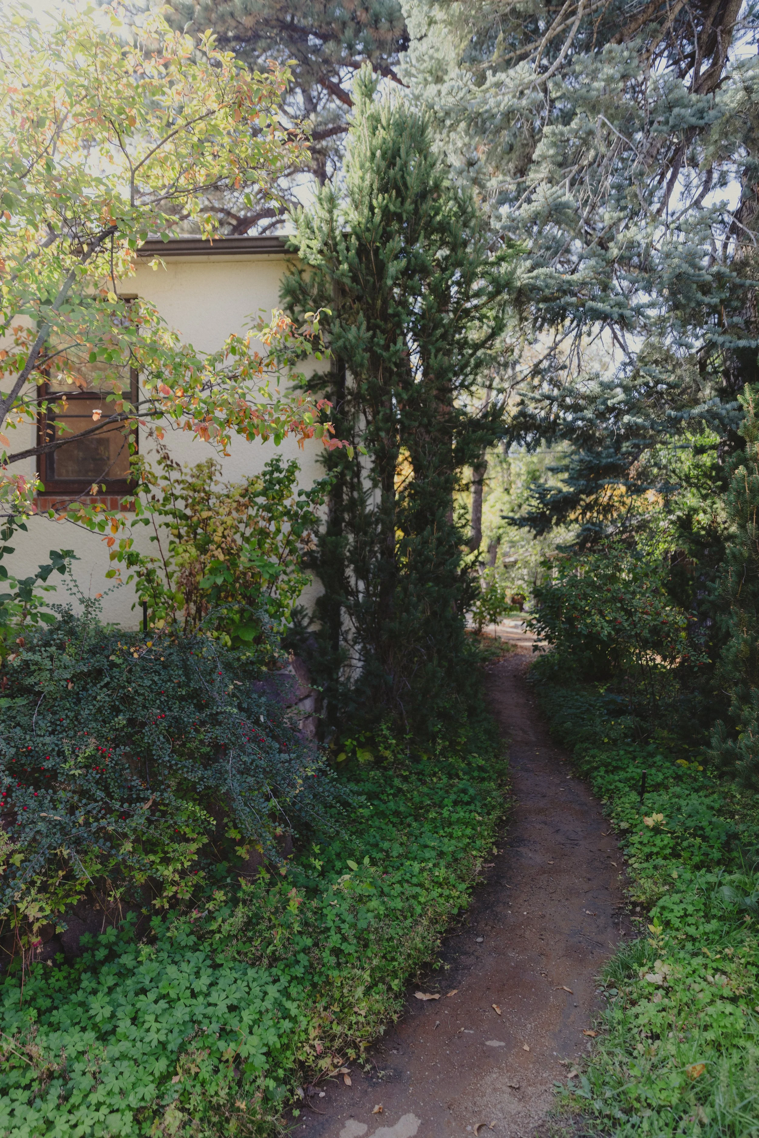 241020 - chautauqua fall tour - 31.jpg