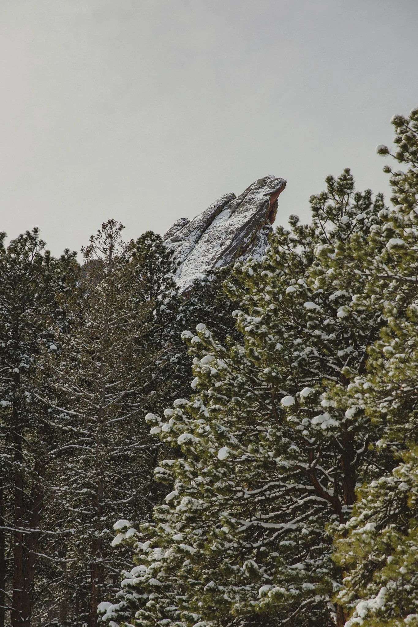 chautauqua winter - big heart film - 1.jpg