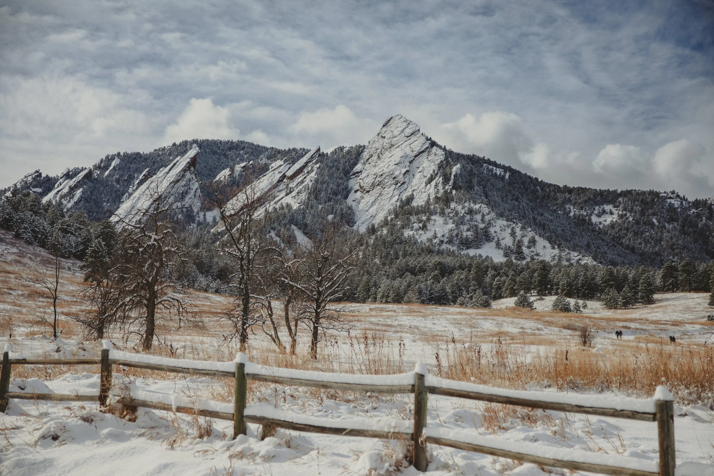 231208 - chautauqua winterfest - big heart fim - 34.jpg