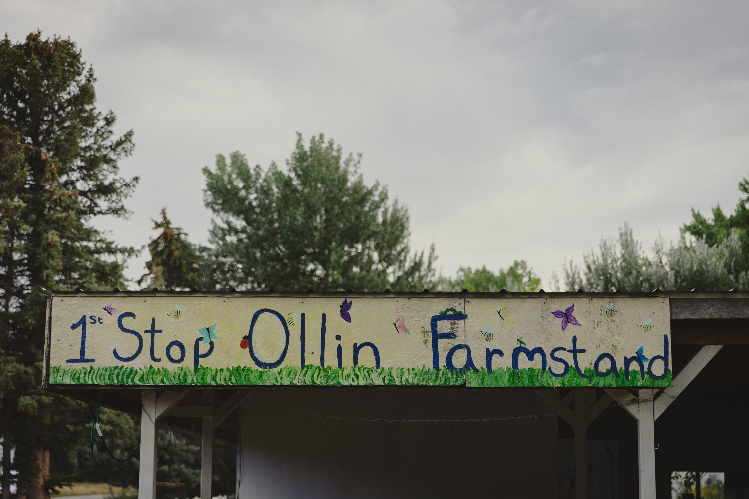 250827 - visit longmont - big heart film - 44.jpg