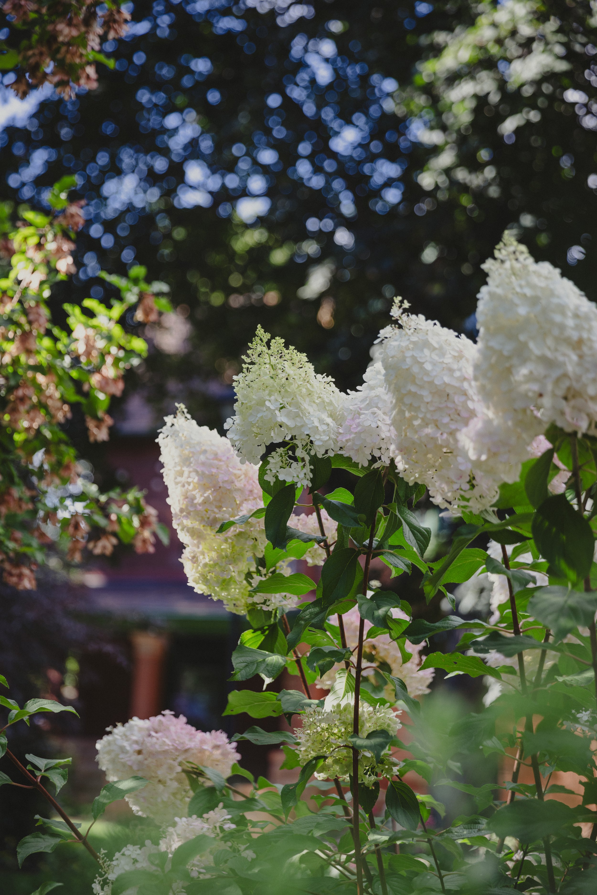 250827 - visit longmont - big heart film - 26.jpg