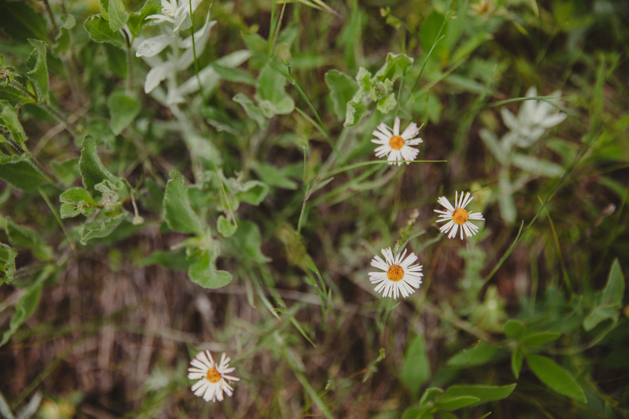 231021 - Chautauqua Weekend - 33.jpg.jpg