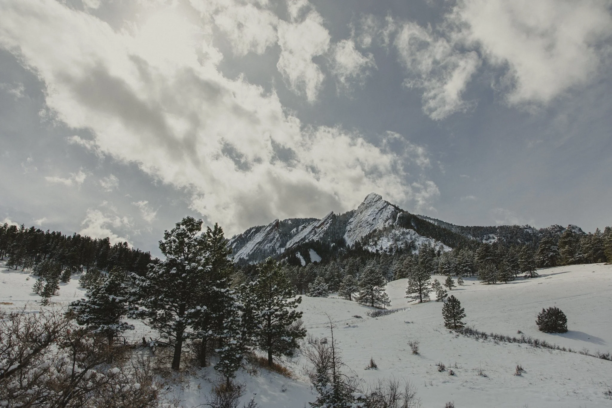 chautauqua winter - big heart film - 2.jpg