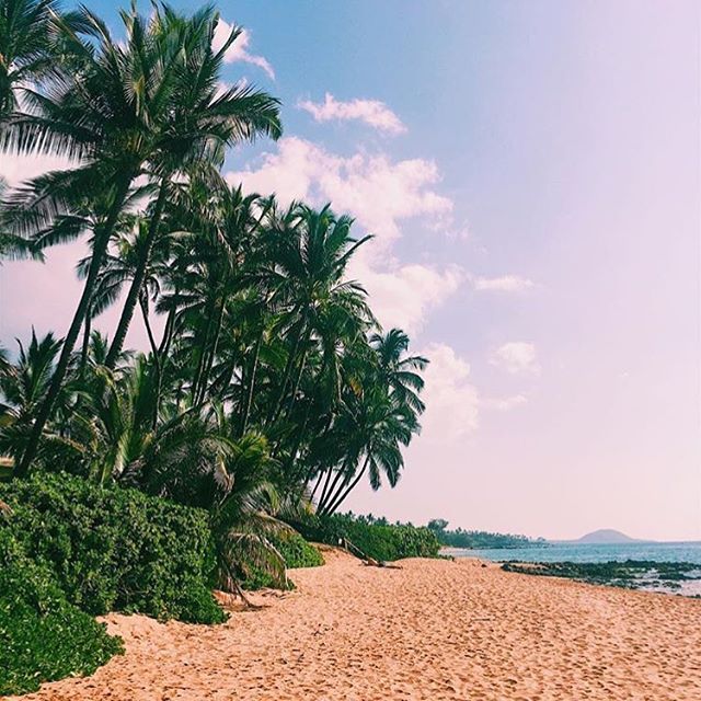 Beach running is a great way to work on strengthening your stabilizer muscles and core. #runlivealoha #hawaiirunningretreat 📷 @abrahamzarut