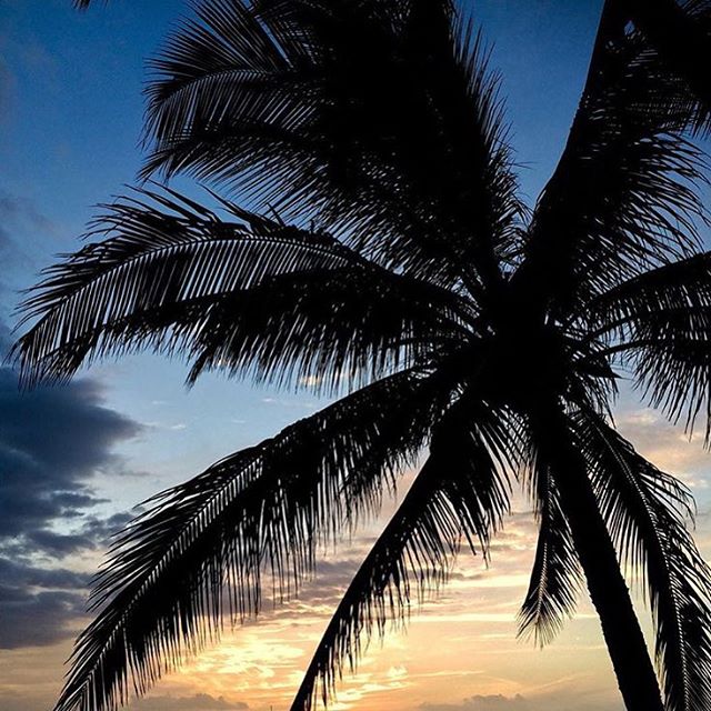 Hope you get a chance to relax this weekend. #tgif #runlivealoha #hawaiirunningretreat