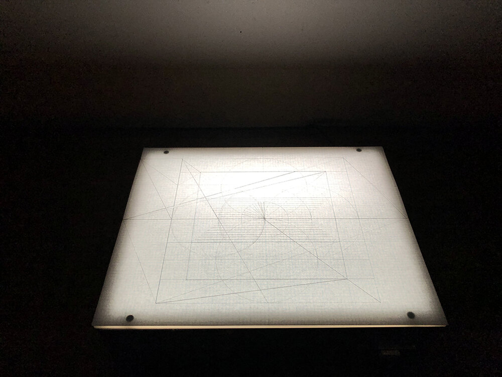  Floating on the Horizon Line of Humanity Exist Numbers Equating to 1. Four flower drawings, graphite on bond paper placed on light box, drawing 9 ¾ x 12 ¼ overall 9 ¾ x 12 ¼ x 3 ¼”, 2019. 