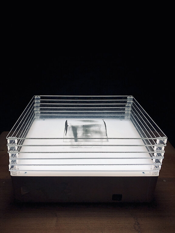  Untitled Interference Sculpture 2 . As Seen From The Front and Slightly Above by Higher Beings But Not Ordained. Polymer emulsion, acetate, plastic bricks, light table, 10x13x20”. Plastic Transcendence Series 2020. 
