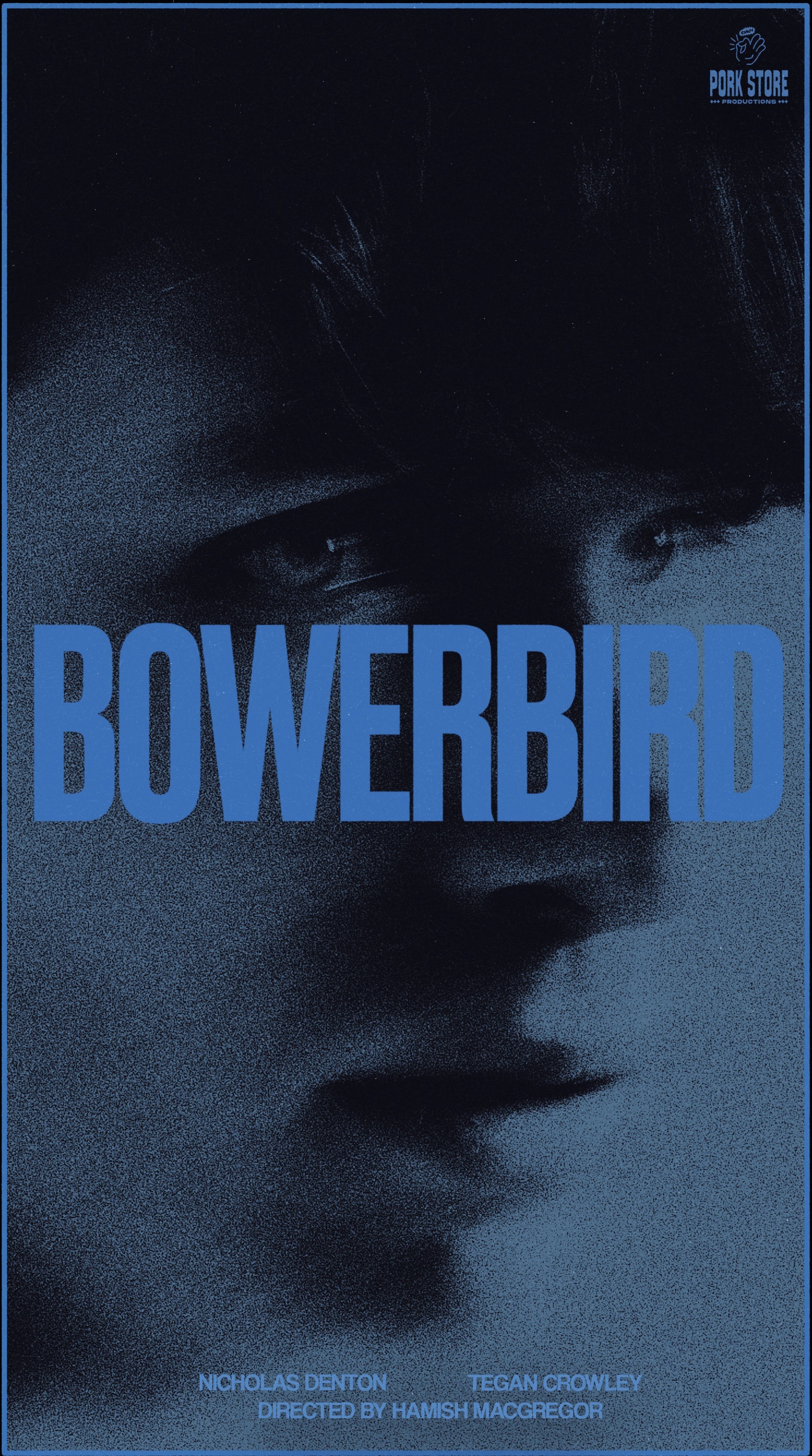 Bowerbird Short Film