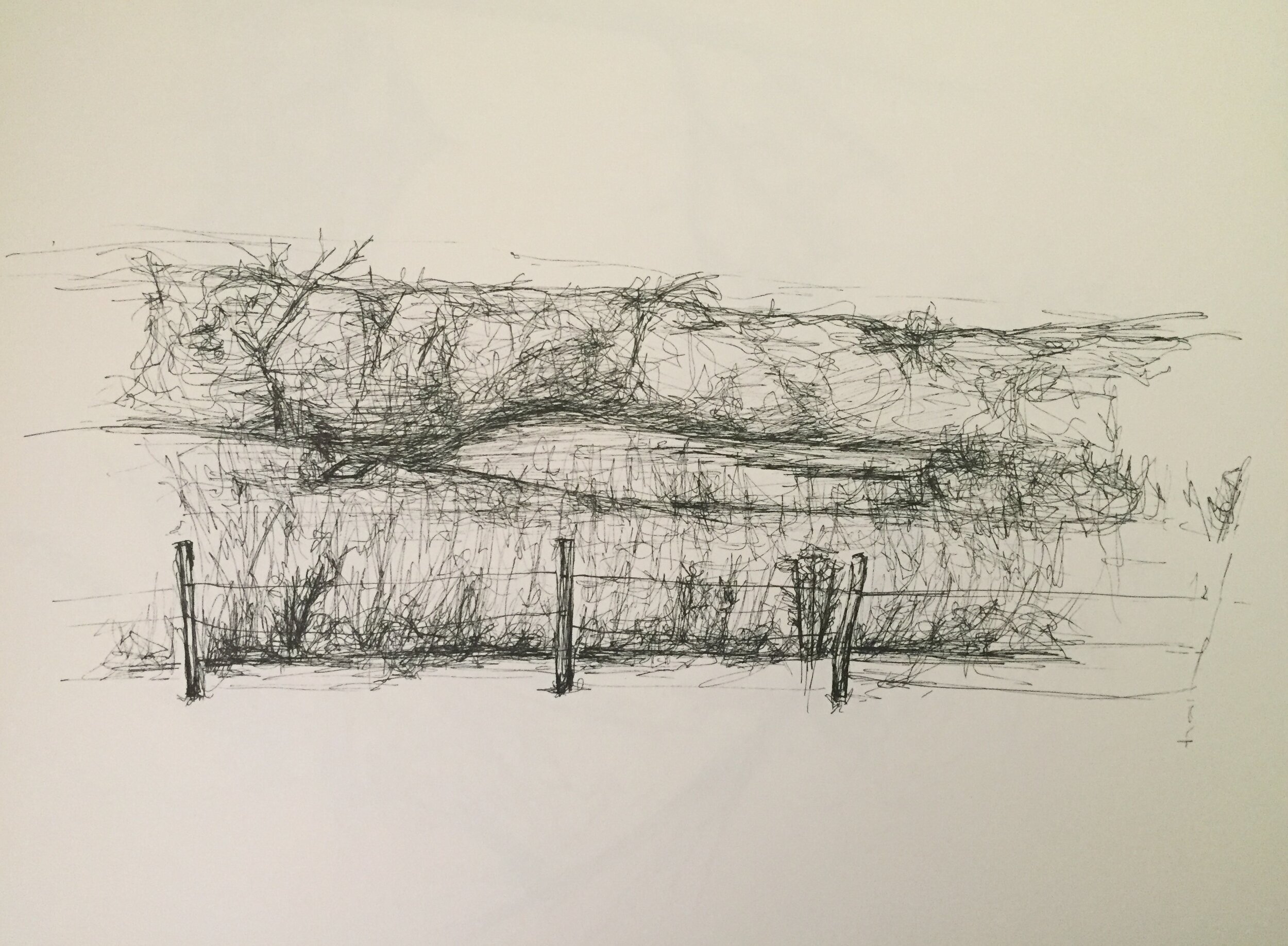   Untitled , Nebraska, 2021  Pen and Ink, 11 x 14” 