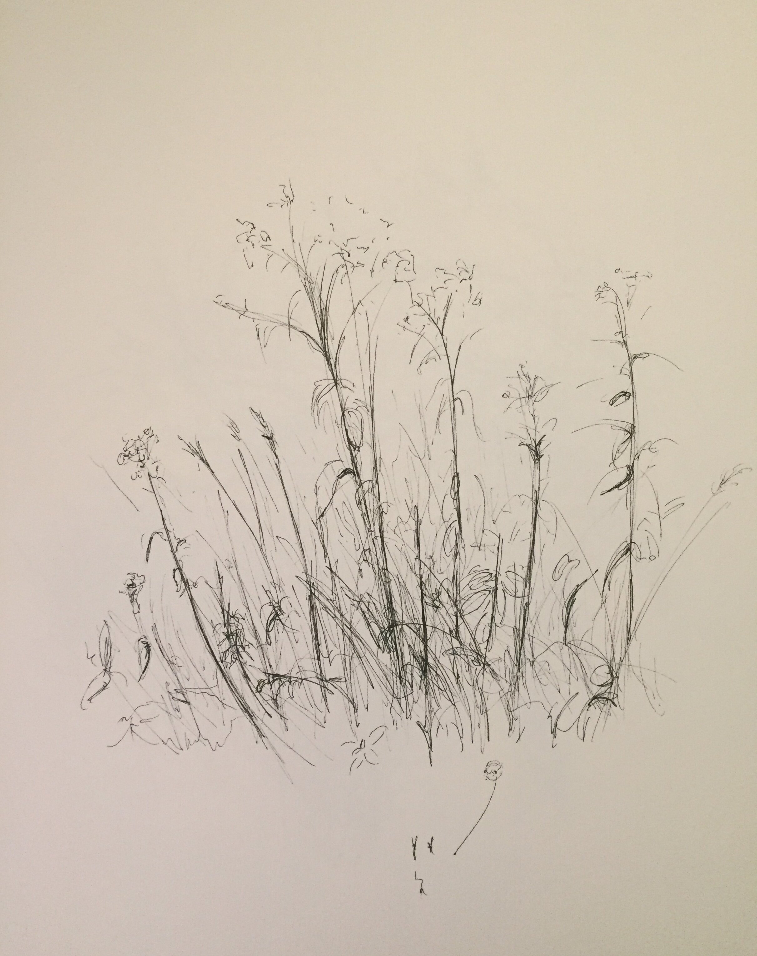   Untitled , Nebraska, 2021  Pen and Ink, 14 x 11” 