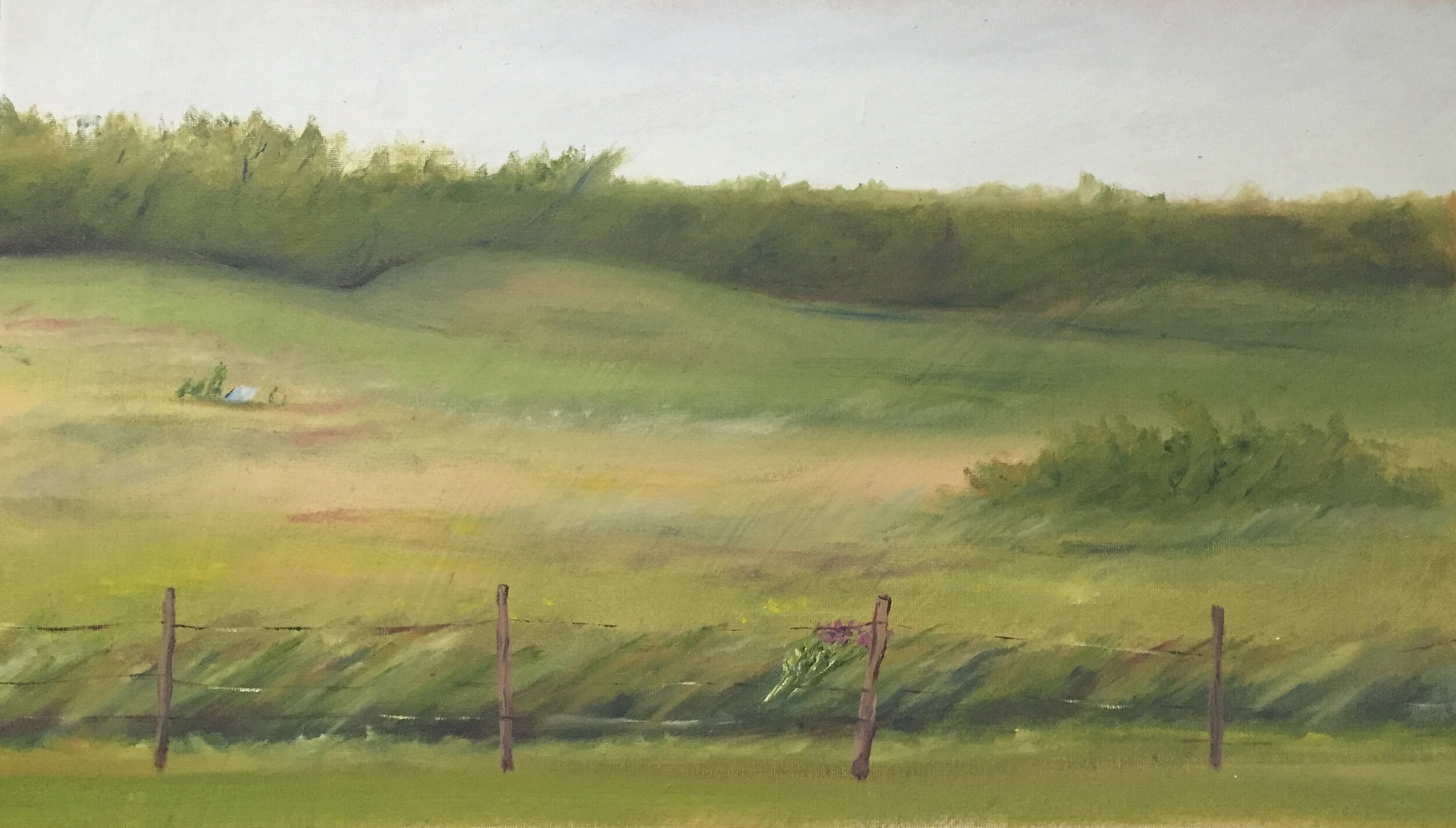   Untitled , Nebraska, 2021  Oil on Canvas, 11 x 20” 
