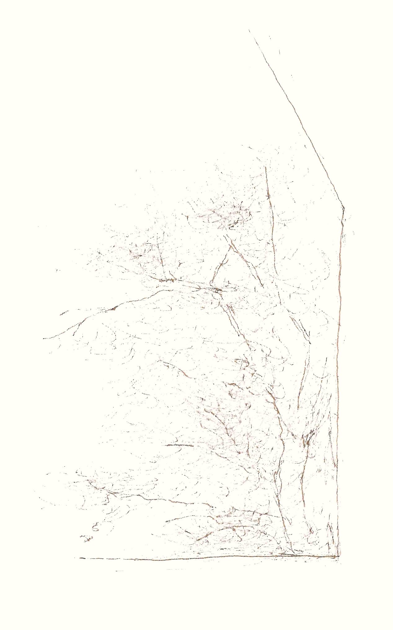  Untitled, Beaver Lake, Arkansas, 2023  Micron Pen on Paper, 8.5 x 5.5 inches 