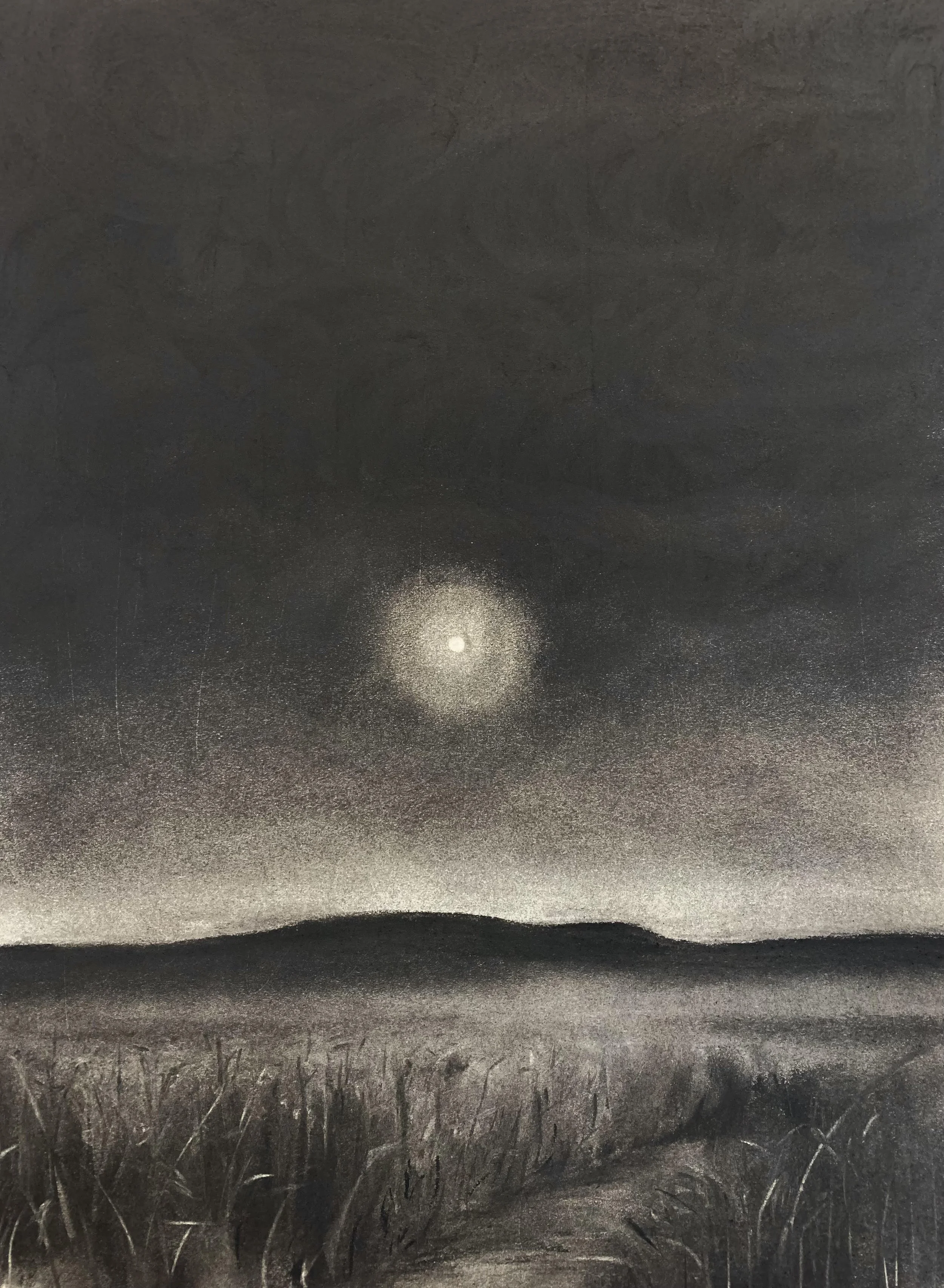 untitled (Agate Fossil Beds) , 2025 charcoal, 24×18”