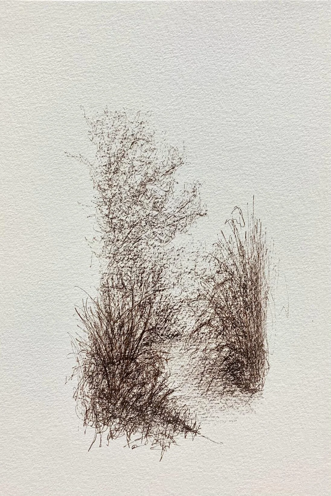 untitled, (Agate Fossil Beds) , 2025 Pen and Ink, 8.5×5.5”
