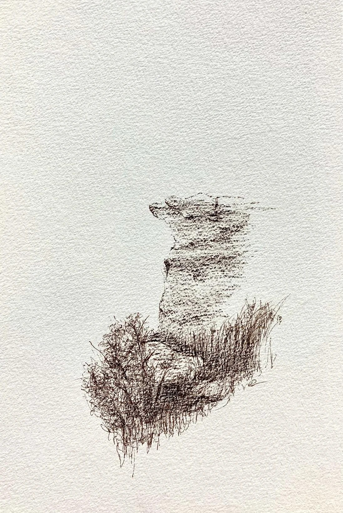 untitled, (Agate Fossil Beds) , 2025 Pen and Ink, 8.5×5.5”