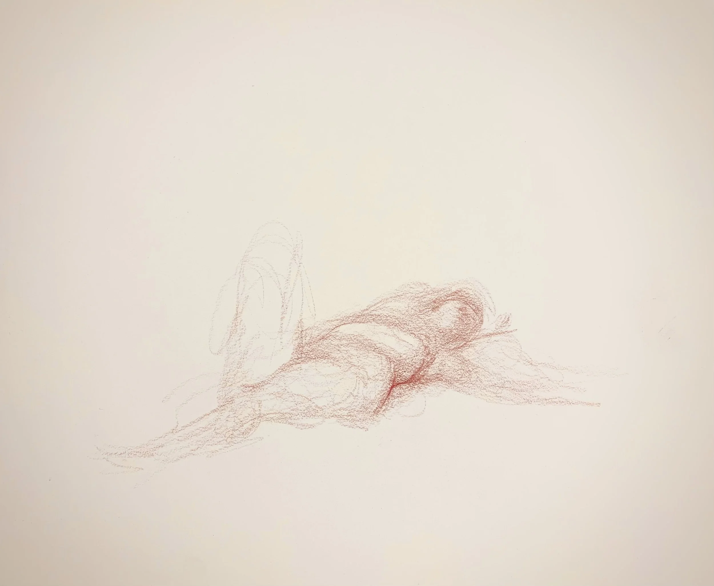   Untitled , 2023    Prismacolor on Paper, 11 x 14” 