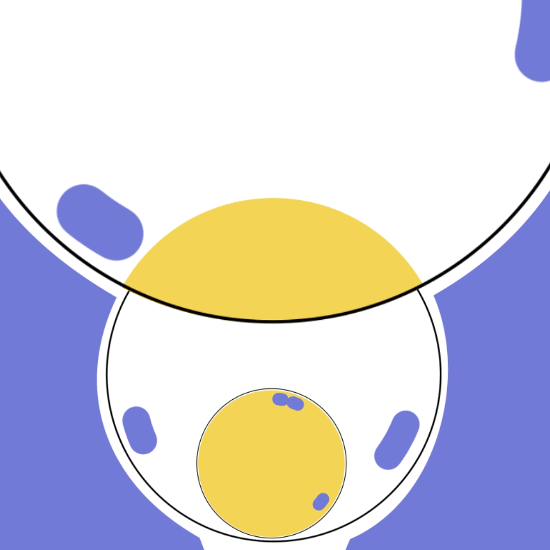 shapes_main_6.gif