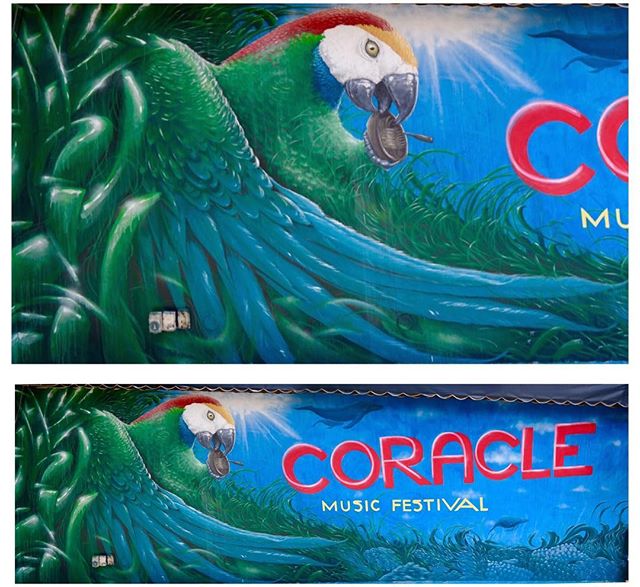 The old ocean/sky boat eating parrot....
🐳
A rooftop wall I did earlier this year at @roguesaigon in Vietnam, sponsored by @coracle festival, which went down last week.
🌇
I&rsquo;m missing Saigon lately, and all the fantastic people in it.....