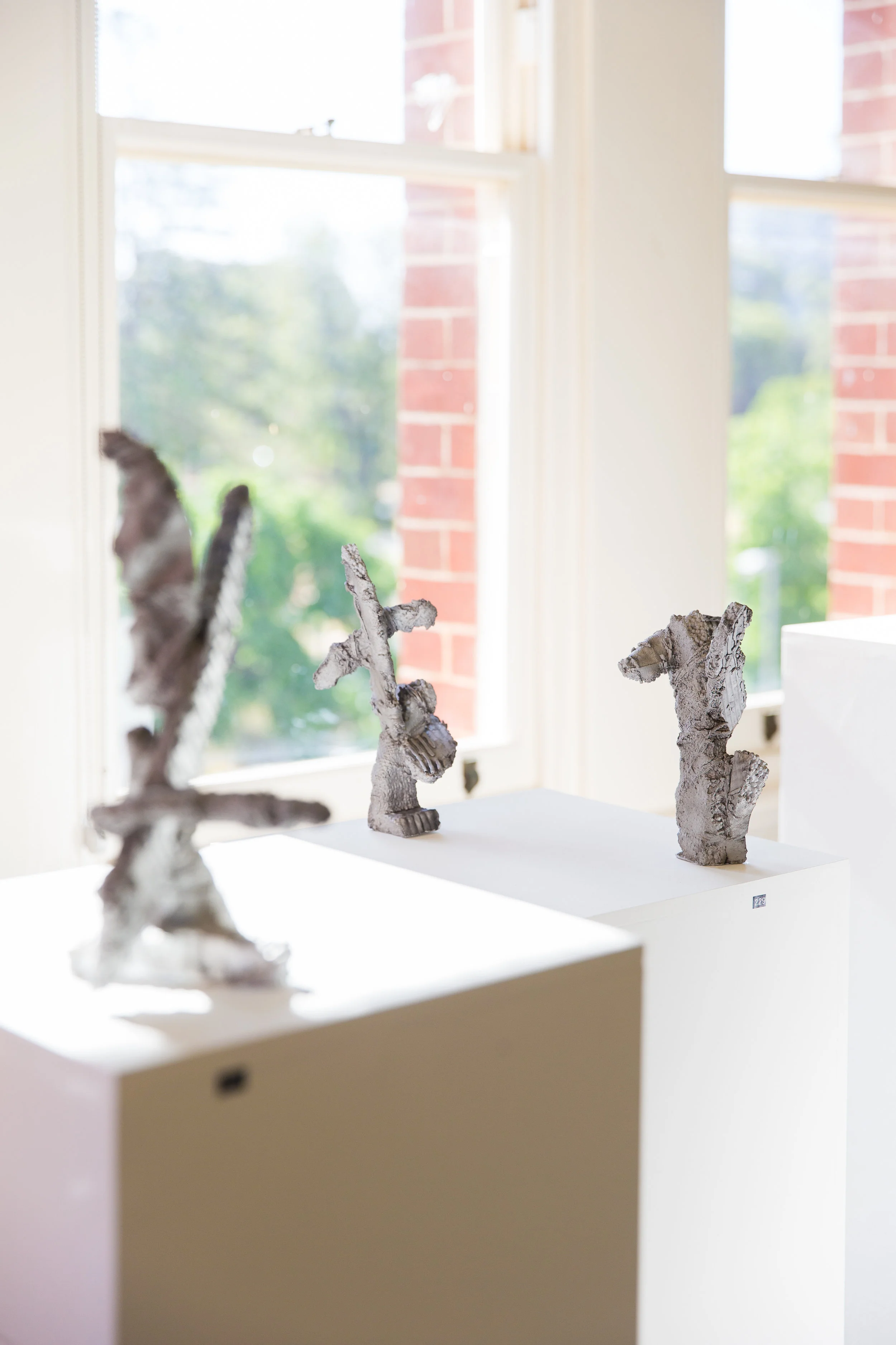 Propositions - installation photo Photograph James Field, courtesy Adelaide Central School of Art