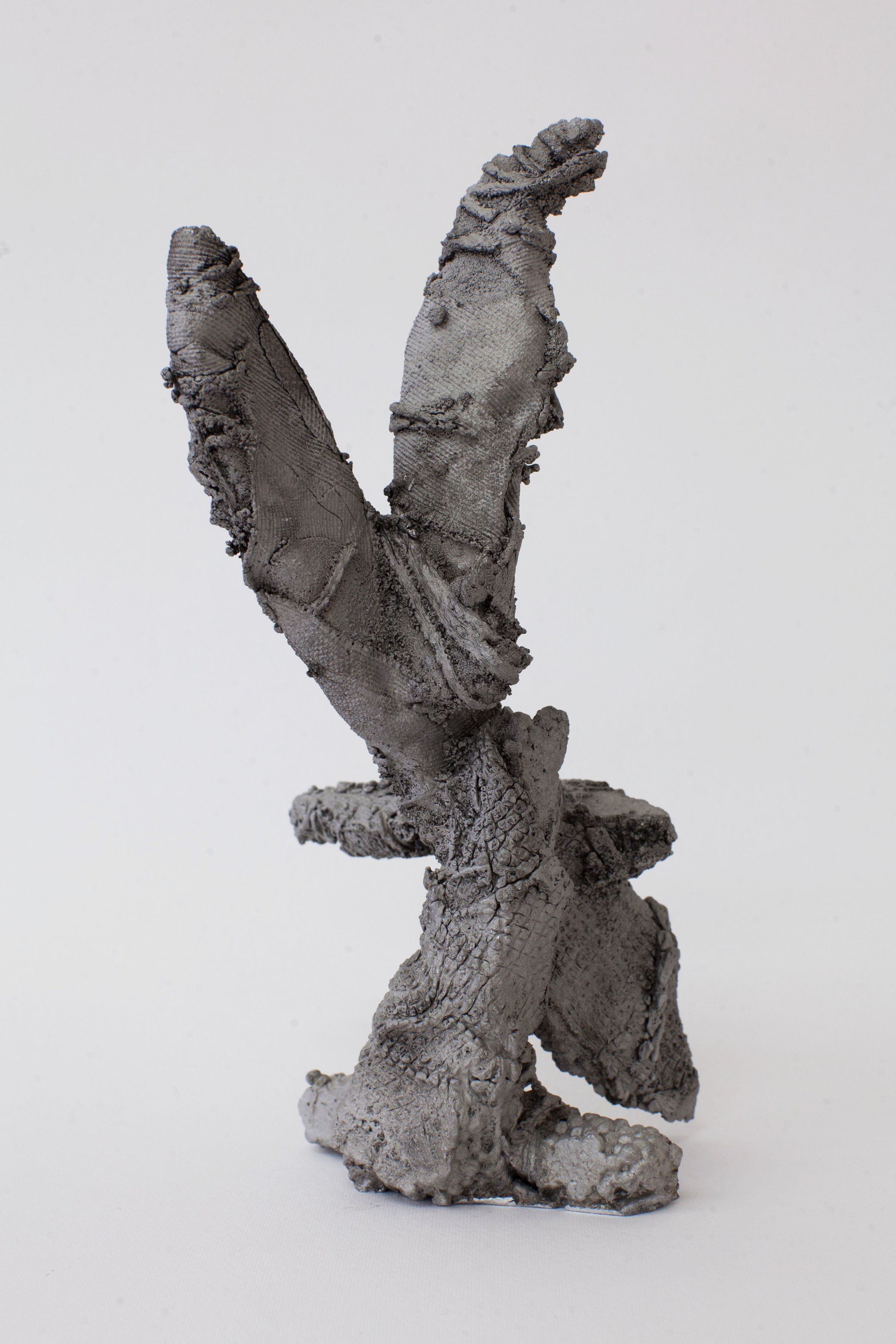   Remnant # 5   cast aluminium  25 x 11 x 14 cm  Photograph Alycia Bennett 