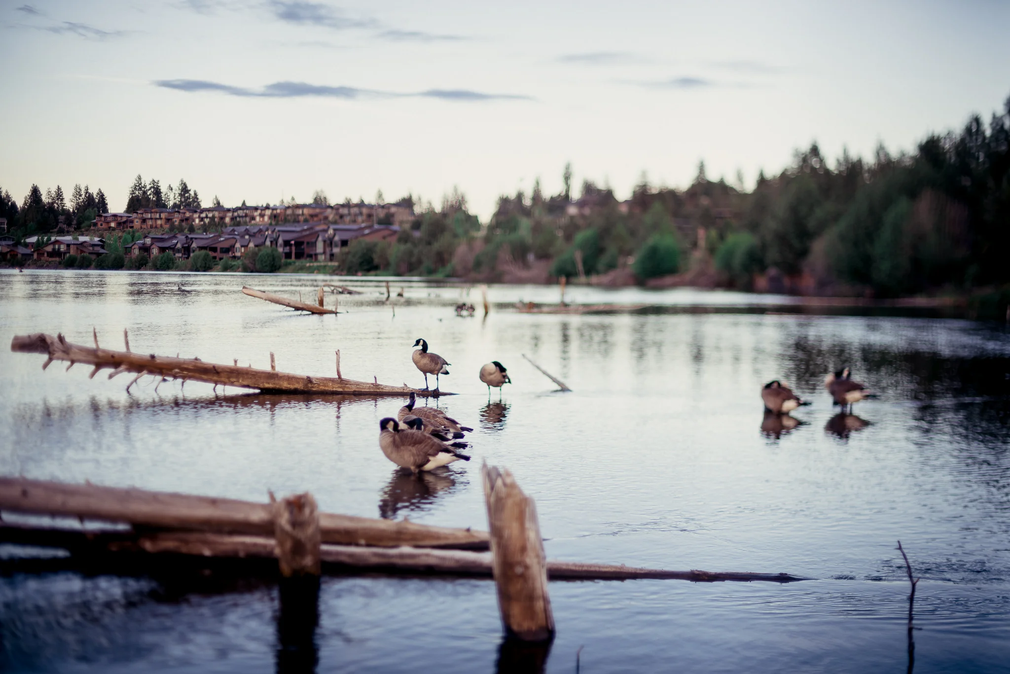 Our Summer 2017 || Part Two