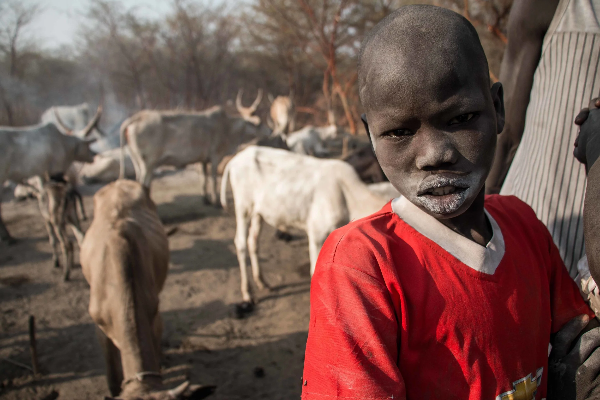 Cattle camp, Unity state, South Sudan, personal.