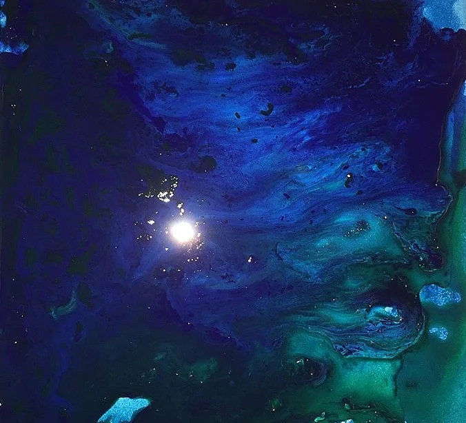 Today's Seeds, Tomorrow's Flowers