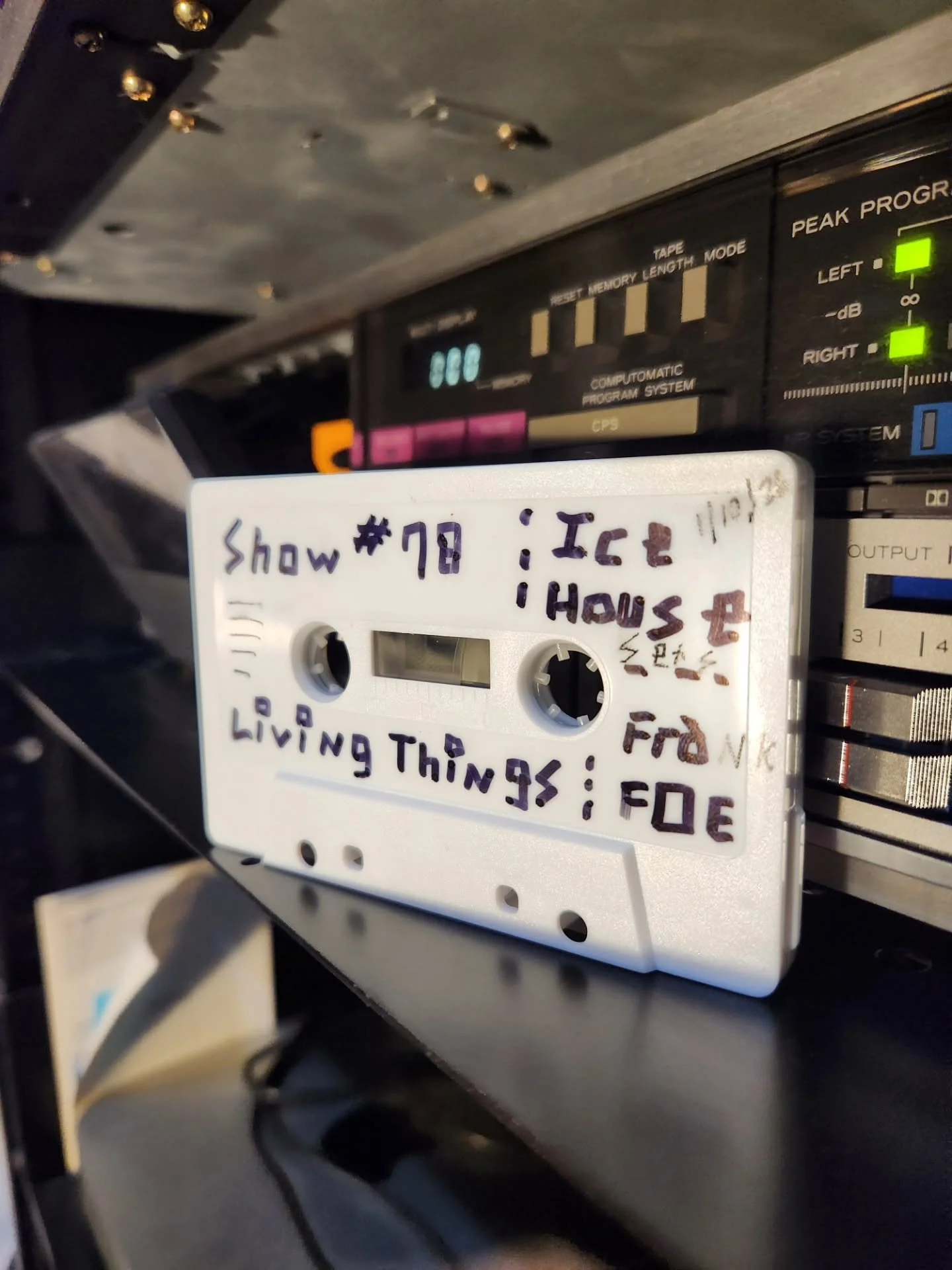 Show #78 is now up online in its entirety! Listen to the show that premiered on our @wdiyfm broadcast earlier this month, plus some extended features:

&bull; The Shards Session with Lehigh Valley garage-psych rock band @thalivingthings, along with a